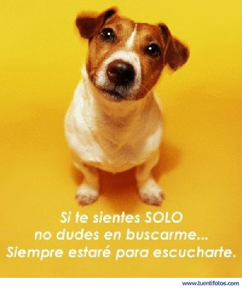 Amistad de Si Te Sientes Solo Buscame