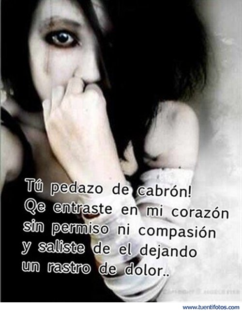 Desamor de Tu Pedazo De Cabrón