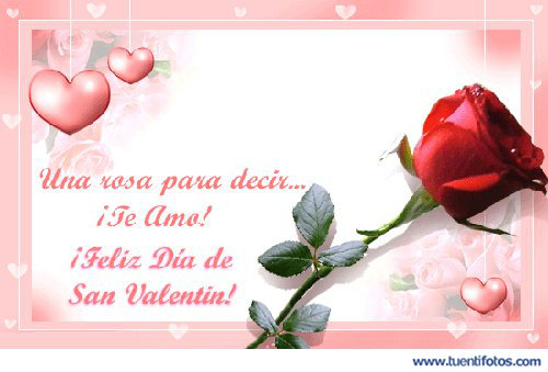 Amor de Una Rosa Para Decir Te Amo