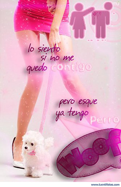 Frases de Ya Tengo Perro